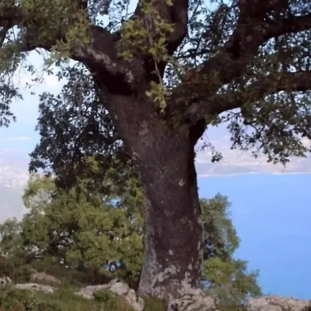 Tranquil Kolivata Lefkada Retreat House בית נופש *